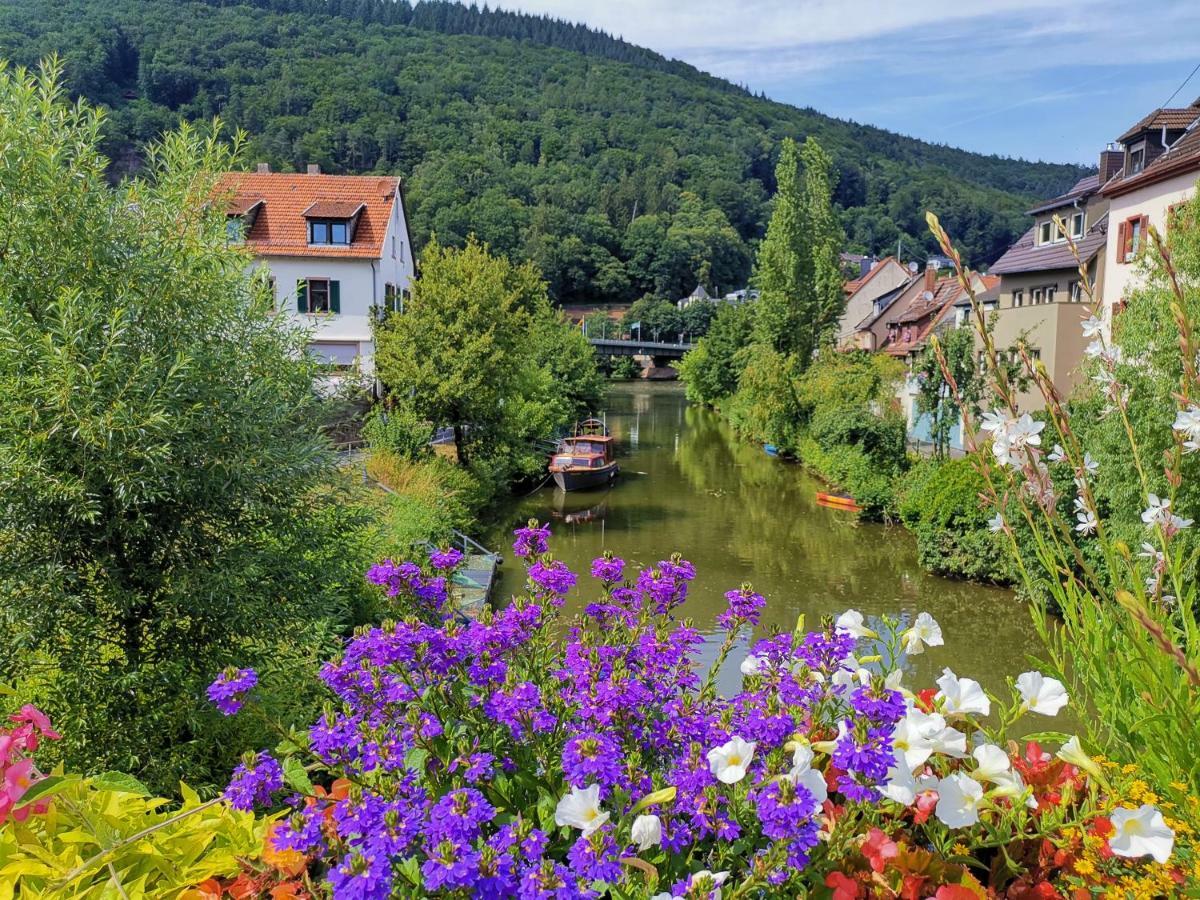 Ferienwohnungen Flussufer - Neckargemuend Altstadt Экстерьер фото