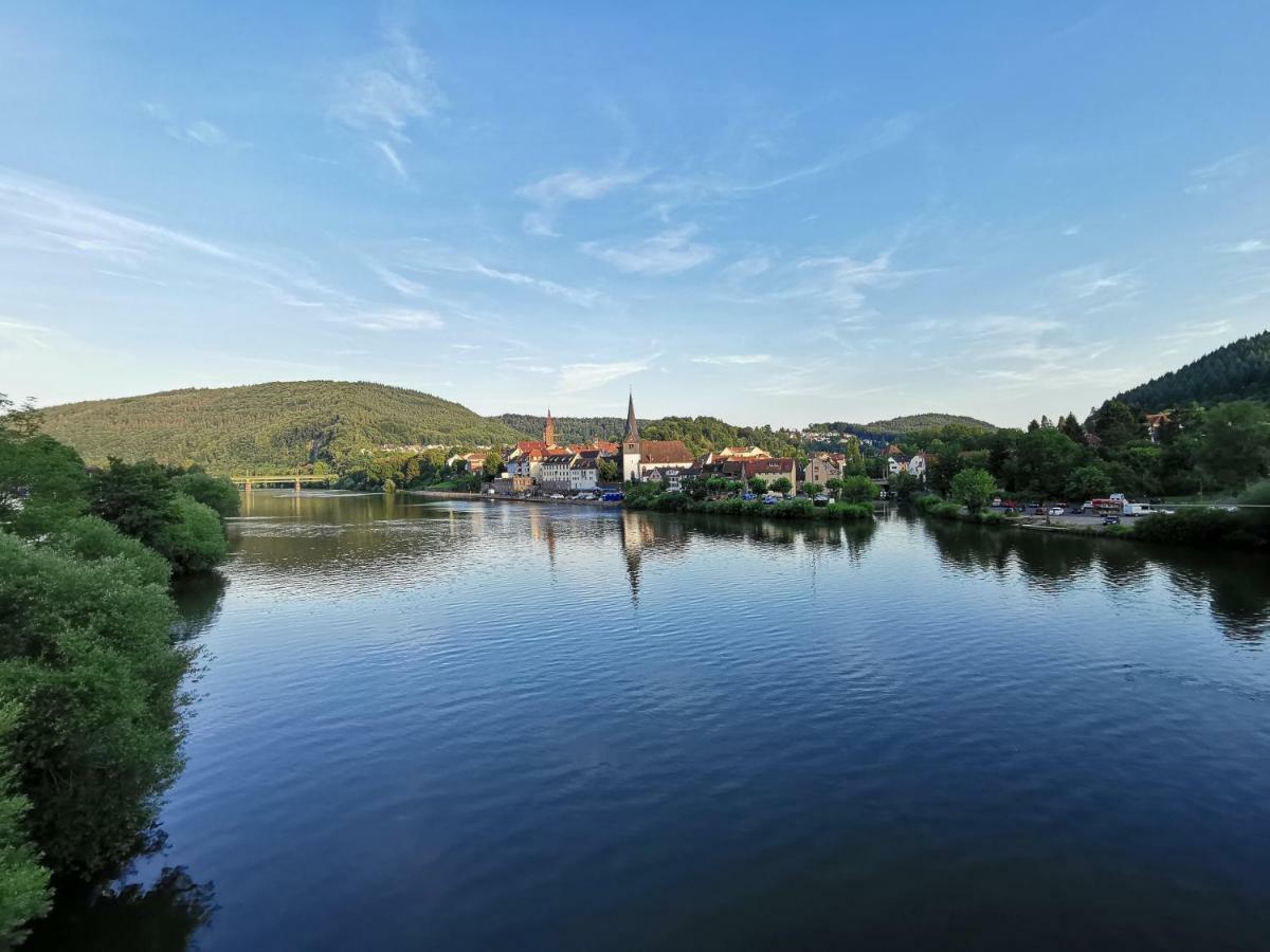 Ferienwohnungen Flussufer - Neckargemuend Altstadt Экстерьер фото